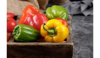 kuri paprika yra sveikiausia