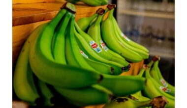 Ar žalūs bananai kenksmingi