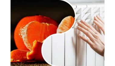 citrusinių vaisių žievelės spinduliuoja šilumą