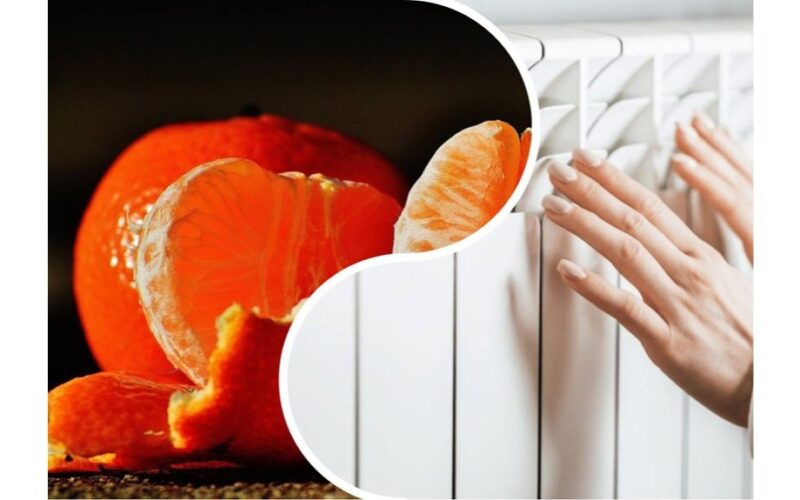 citrusinių vaisių žievelės spinduliuoja šilumą