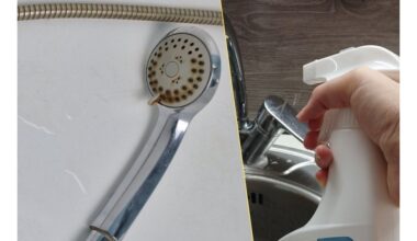 lengvai išvalykite dušo galvutės filtrą