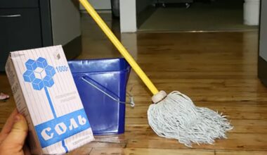 grindų valymas druska