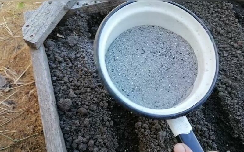 česnakų ir svogūnų apsauga