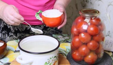 neatsispiriamas marinuotų pomidorų užkandis