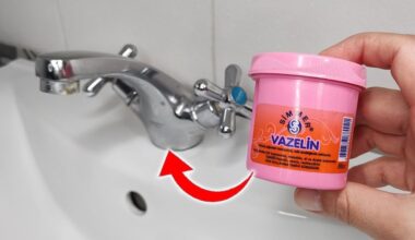 mėnesinis kalkių nuosėdų valymas