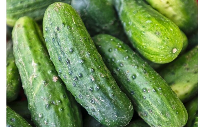 naudojant pernokusius agurkus kūrybiškai
