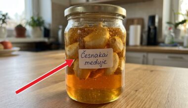 Stiklainis su česnako skiltelėmis meduje ir kylančiais burbuliukais